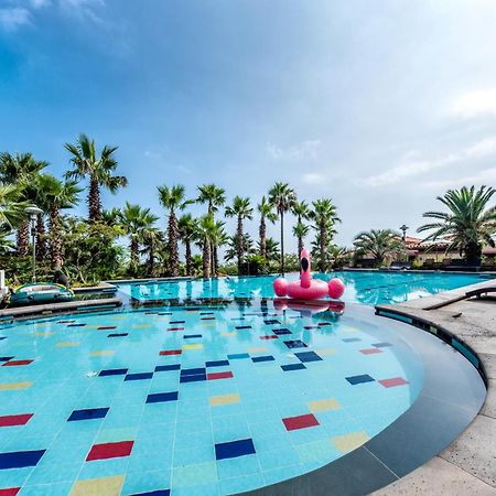 Palm Valley Resort Seogwipo Exterior photo